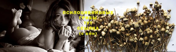 трава Липки