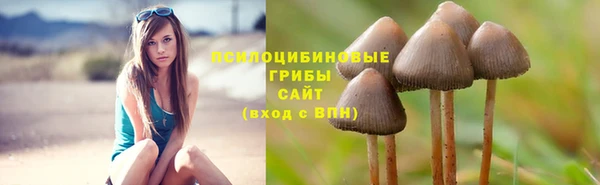метадон Лиски