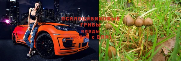 метадон Лиски