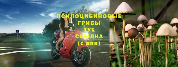 метадон Лиски